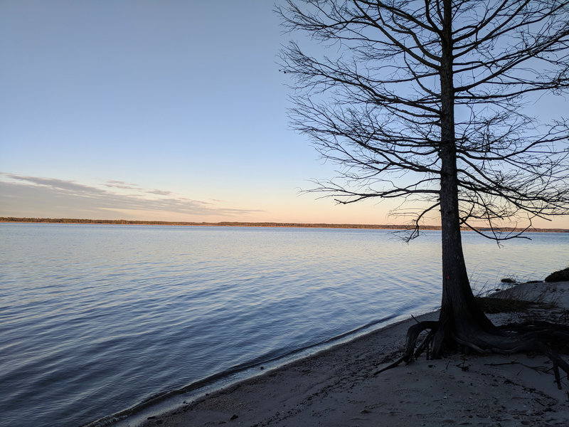 View from the Beach