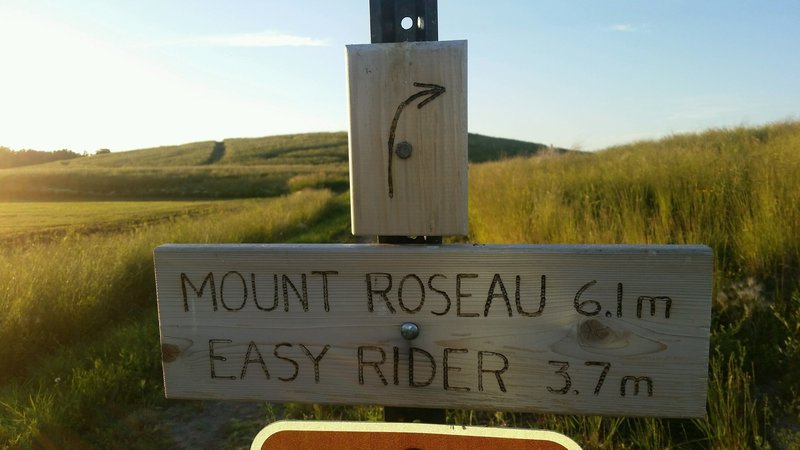 Mileage sign at trail split