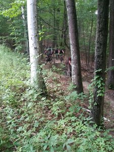 Singletrack Tadpole - Thunder - Grand Junction connector