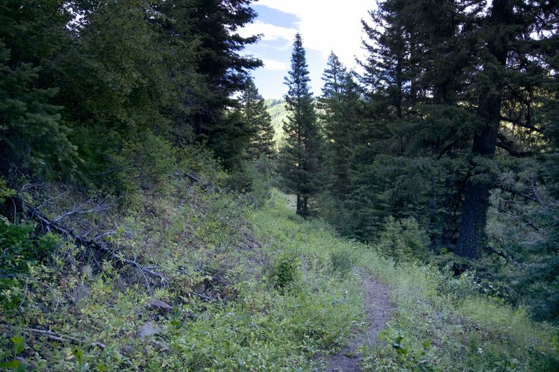 After joining the old road bed, it's like a whole different (and way more fun) trail. Better views, better riding, minimal hike-a-bike.