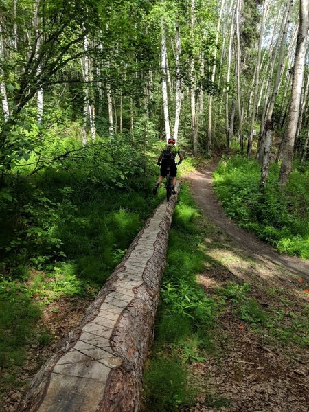 Some of the more advanced features of the Outer Loop trail.