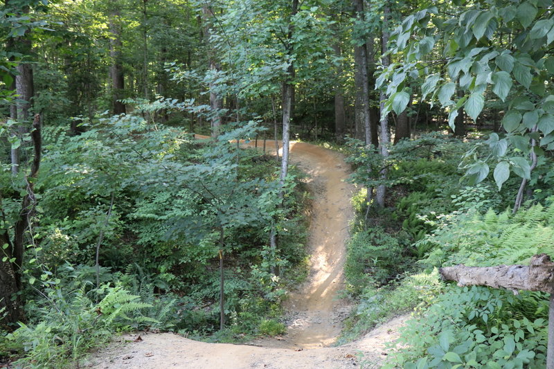 Looking back at the berm to g-out from the top of the step up.