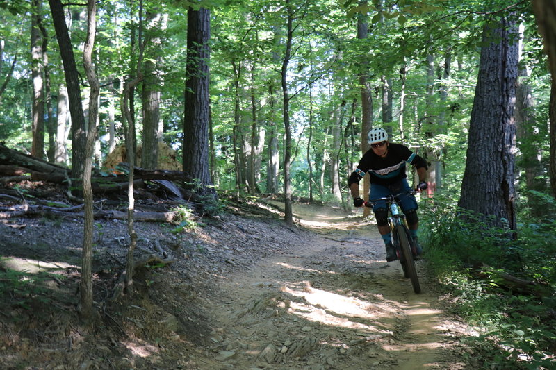 Alex Figueroa focusing on an off-camber section at the south end of Rails to River Trail.