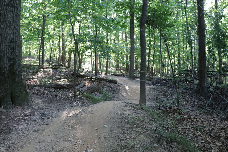 Looking back up at a loose right right hand turn followed by a small jump.