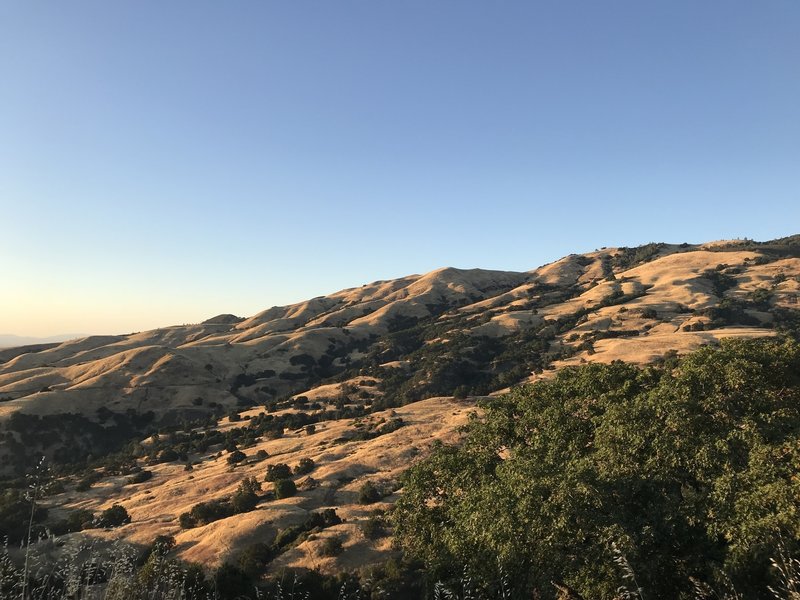 View of Mount Diablo at sunset.