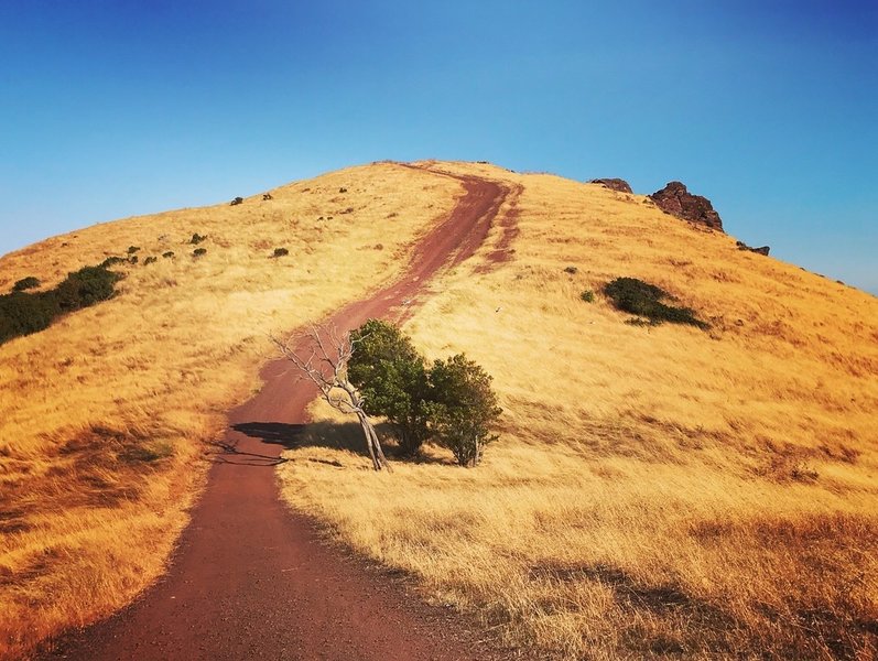 Red Hill trail.