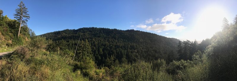 The ridge that hosts the Flow Trail.