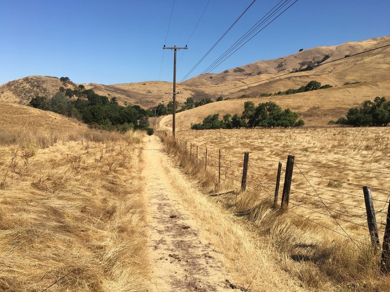 Lower flat section of the trail. It's seldom used so lots of hoof divots, grass, and cow pies to ride over.