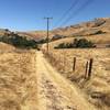 Lower flat section of the trail. It's seldom used so lots of hoof divots, grass, and cow pies to ride over.