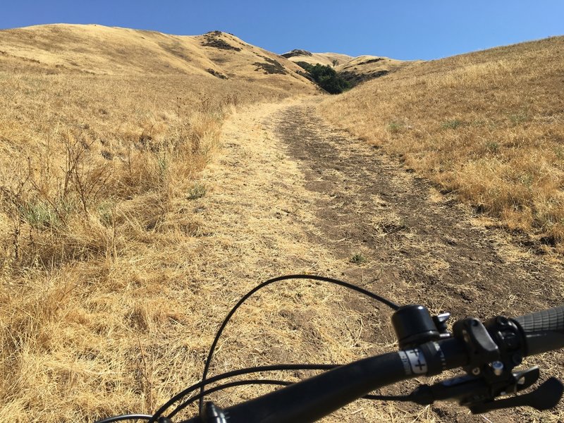 This is the upper, steepest section of the trail. No chance to ride up here but it's a short walk.