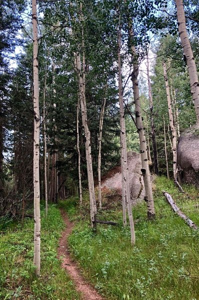 Lovell Gulch Trail.