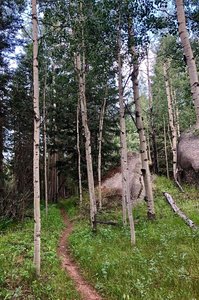 Lovell Gulch Trail.