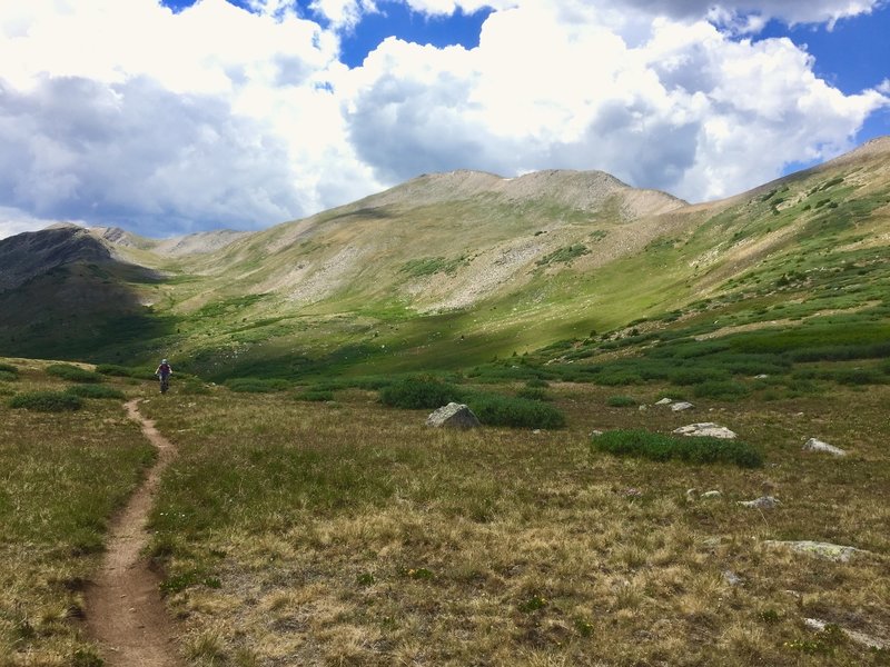 Ripping singletrack on Alpine Tunnel Trail.