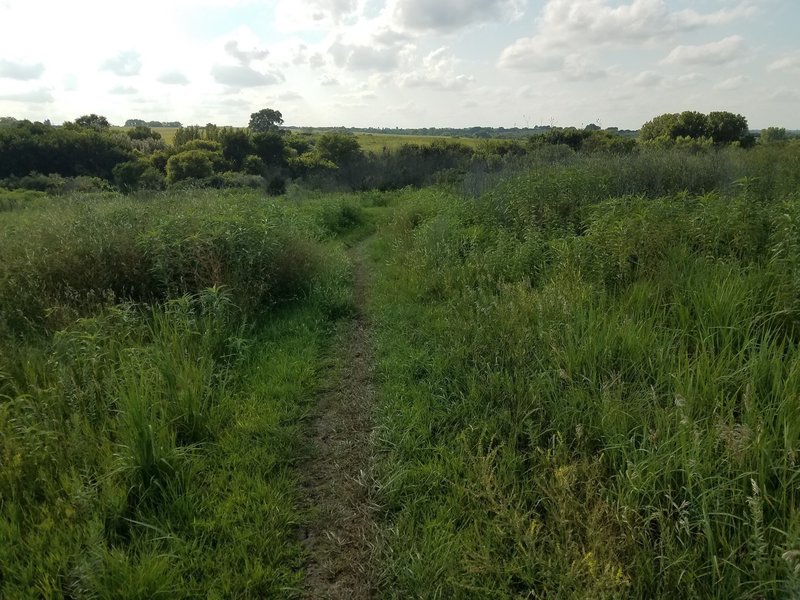 Towards the beginning of the Branched Oak MTB trail.