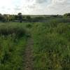 Towards the beginning of the Branched Oak MTB trail.