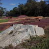 Orlando Mountain Bike Park's Skills section.