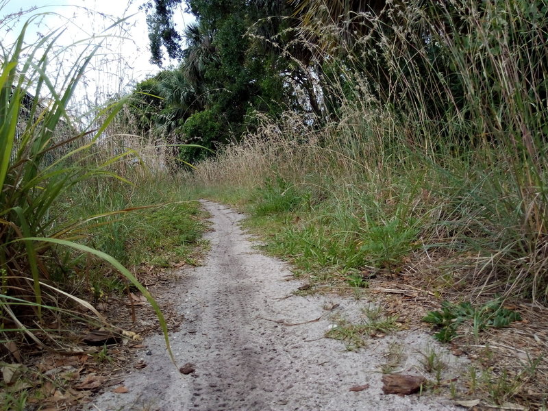 Orlando Mountain Bike Park's trail exit.