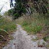 Orlando Mountain Bike Park's trail exit.