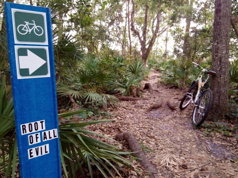 Orlando Mountain Bike Park's "Root of All Evil" option.