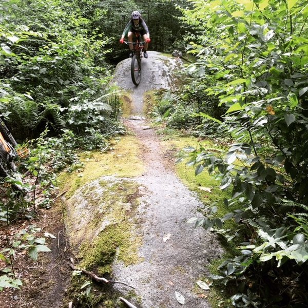 J. on the rock rollers--really fun section of trail.