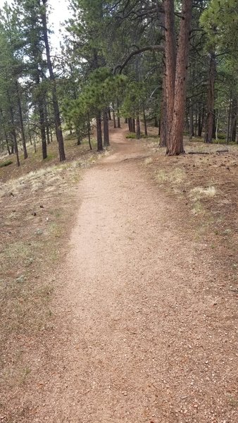 Lower Ridge Trail.