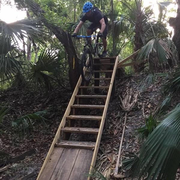 The staircase at the start of the Wild Turkey trail.