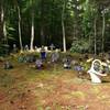 Family cemetery in the woods.