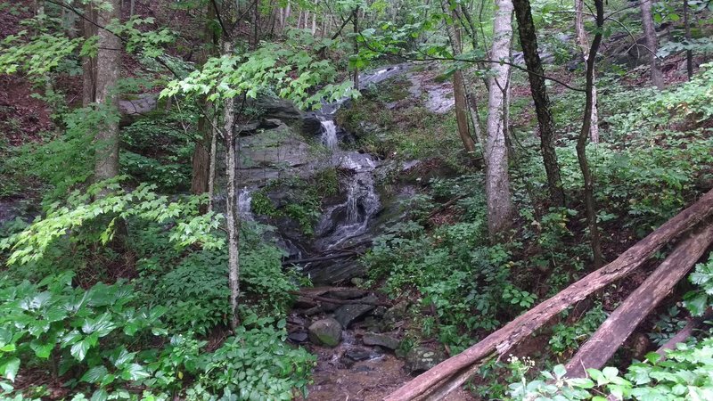 Nice small waterfall off the side of the road.