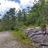 Panthertown Valley Trail at Salt Gap scenic overlook.