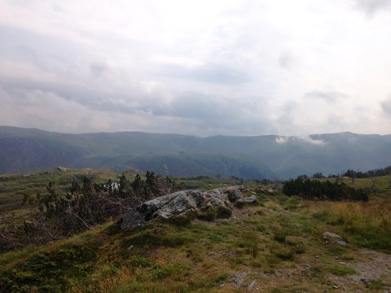 View of the fjell.