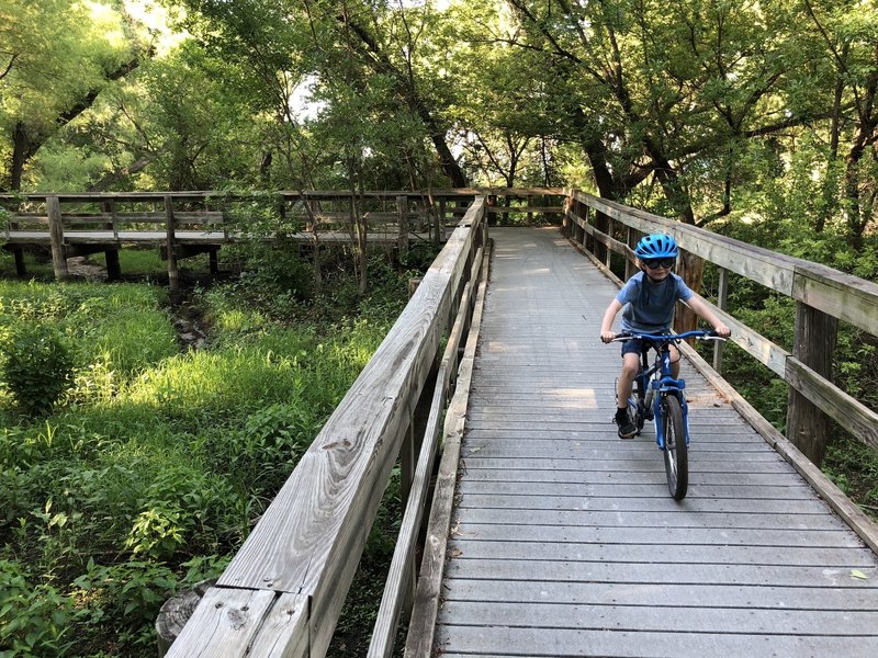 This is a boardwalk area over the spring creek that allows you to view wildlife in a marshy environment.