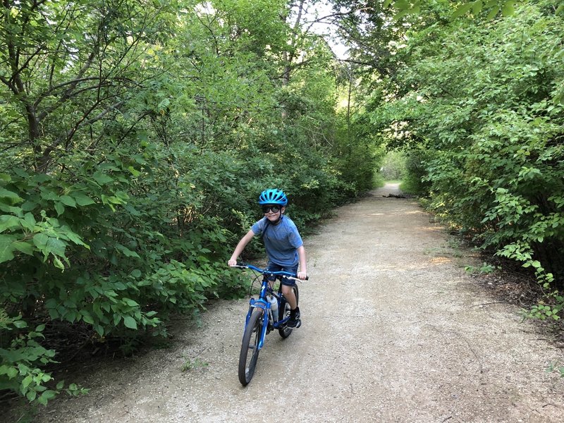 This is the chat portion of the trail. If you follow this out to the sand beach, you can see a beaver dam that holds water from the creek under the boardwalk.