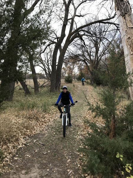 Cruising the back stretch.