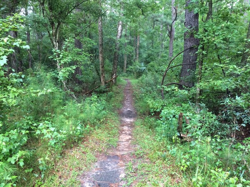 2nd ditch crossing.