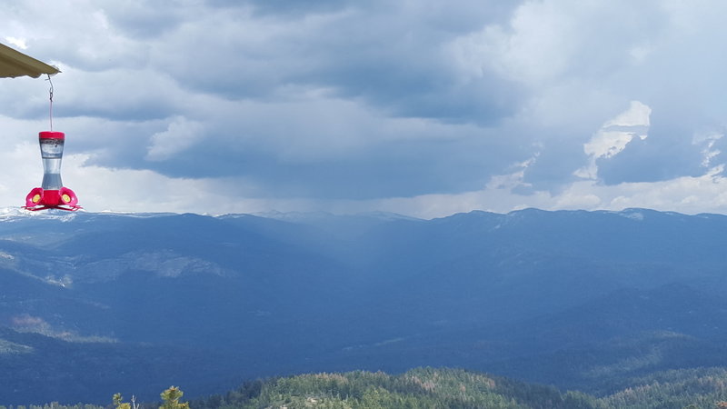 Looking east from the tower!