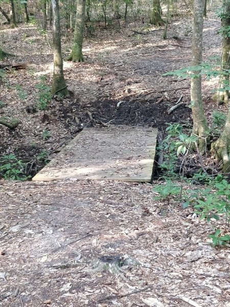 Boardwalk on Breastwork Trail. Soft ground at start of climb.