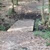 Boardwalk on Breastwork Trail. Soft ground at start of climb.