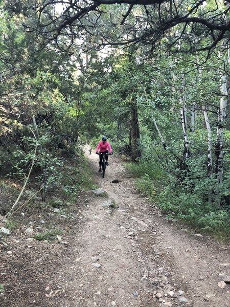 Wife’s first mountain bike adventure!