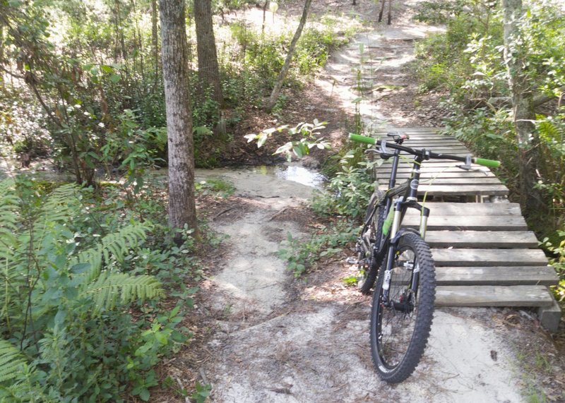 Creek crossing on Blue Trail