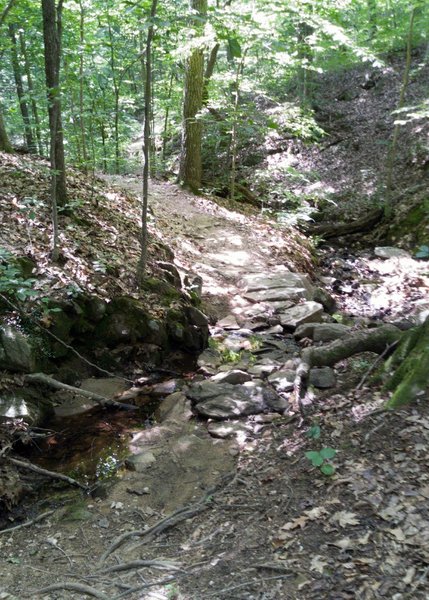 Creek crossing on the Gorge