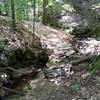 Creek crossing on the Gorge