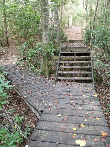 Stairs on trail with bike bypass around.