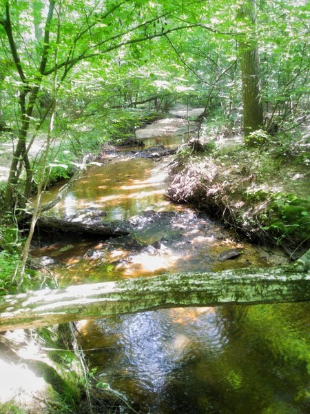 Gold Rush Trail along creek