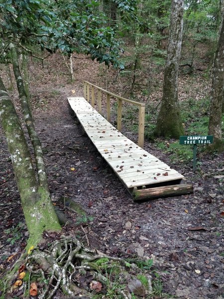 New boardwalk crossing built by Eastern Shore Cycles and Boy Scout Troop 82.