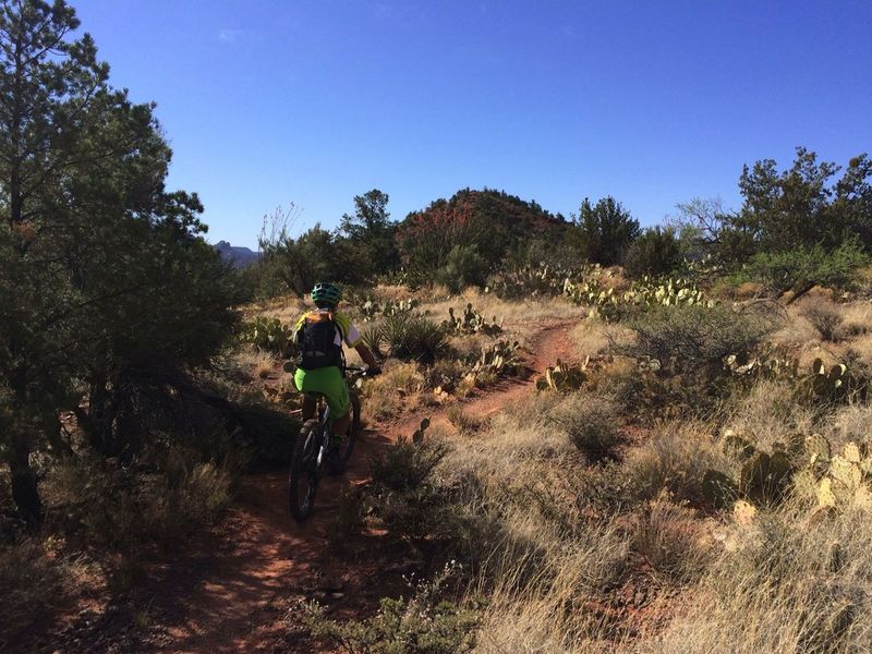 Riding through a sea of cacti on Pyramid