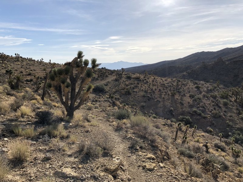 On the back side of mountain after crossing the wash.