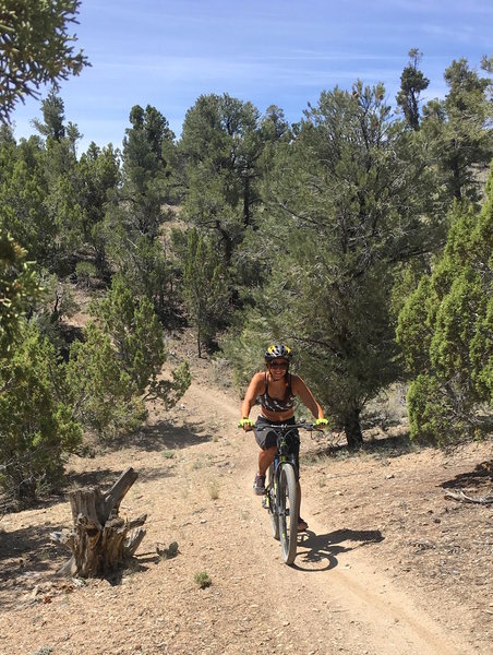 Nice, flowy singletrack back down the ridges.