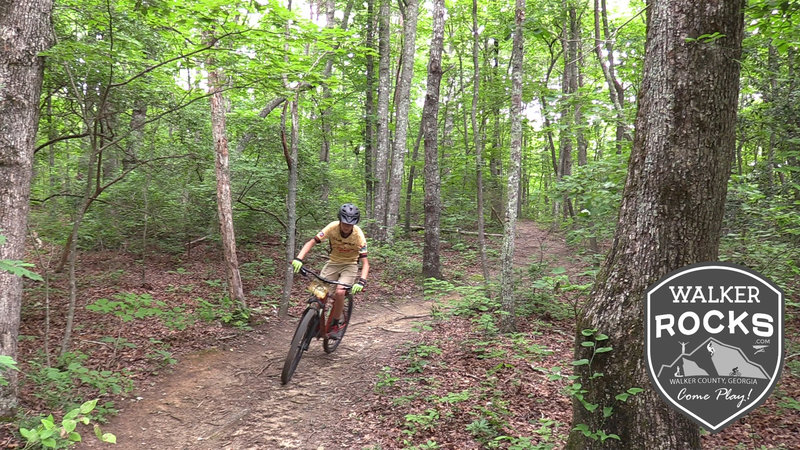 Tailings Run Trail Mountain Bike Trail Trenton Georgia