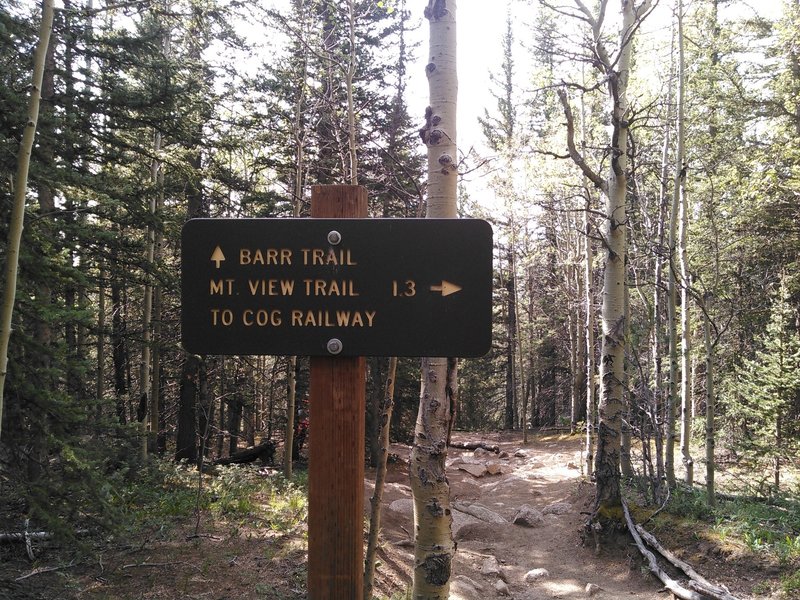 The Mt. View Trail