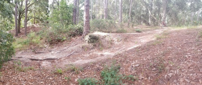 Drop at Graham Swamp